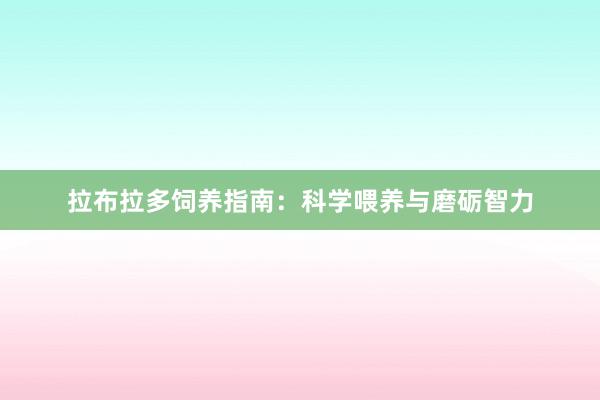 拉布拉多饲养指南：科学喂养与磨砺智力